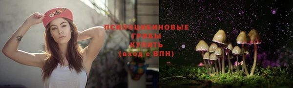 таблы Арсеньев