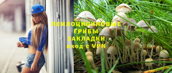 тгк Аркадак