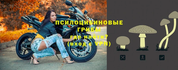 тгк Аркадак