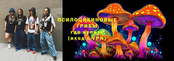 тгк Аркадак